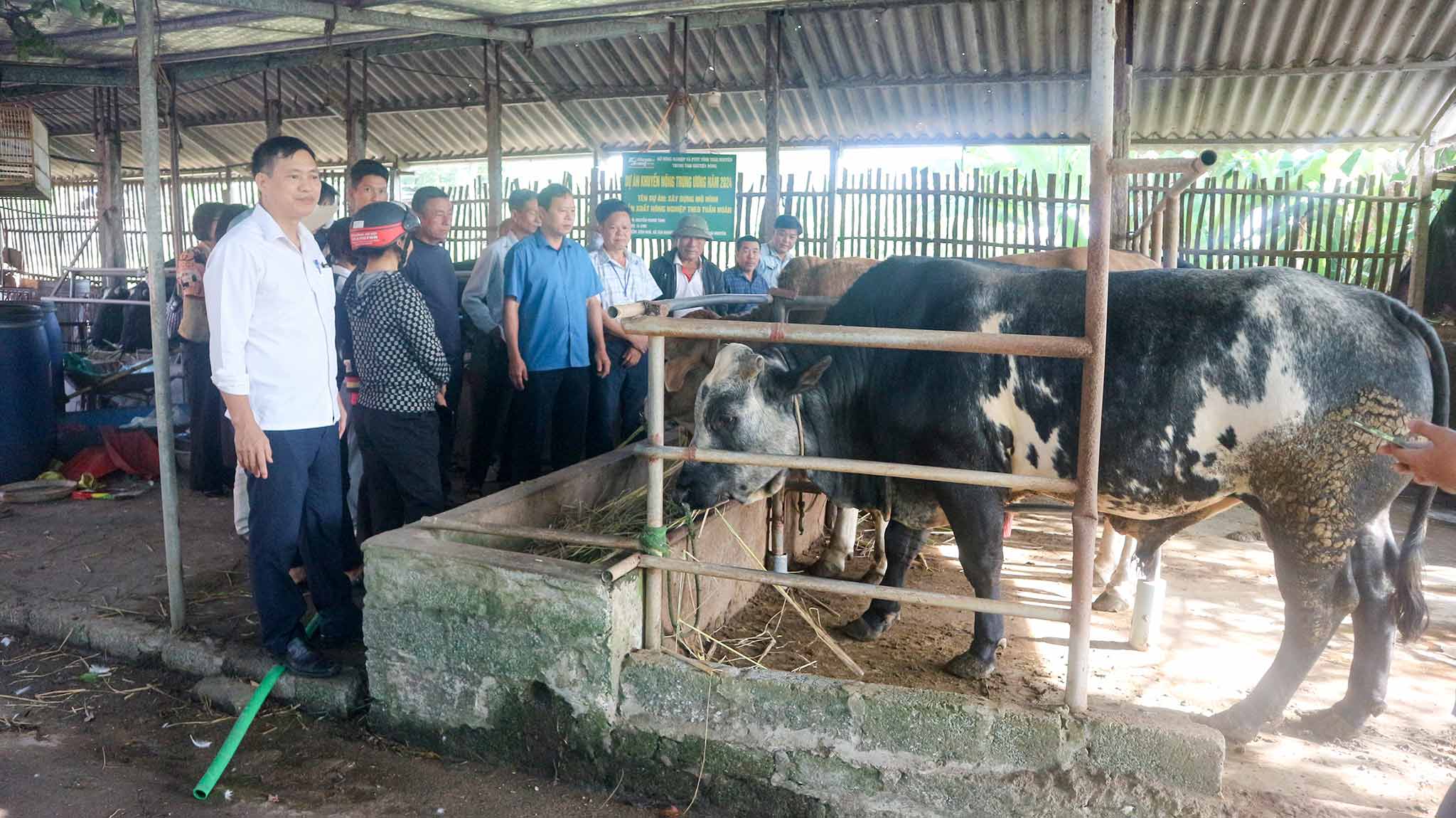 Mô hình sản xuất nông nghiệp theo tuần hoàn tại huyện Phú Bình